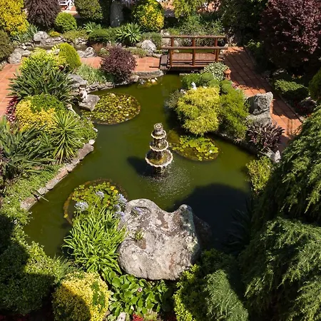 Bosque Mar Reboredo (Pontevedra)
