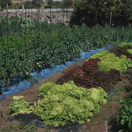 Hotel Bosque Mar Reboredo