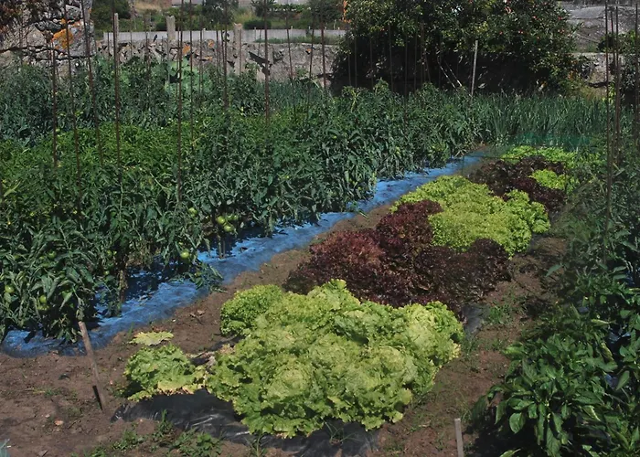 Hotel Bosque Mar Reboredo